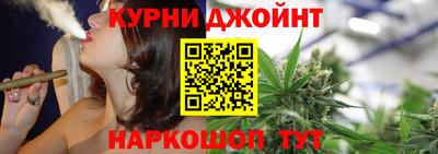 гидра Тара